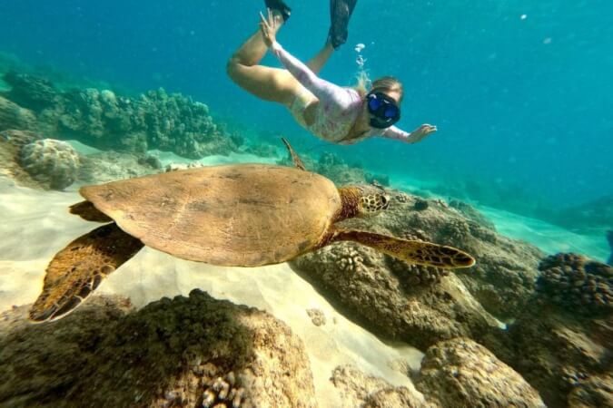 Snorkel con Tortugas en Hawai