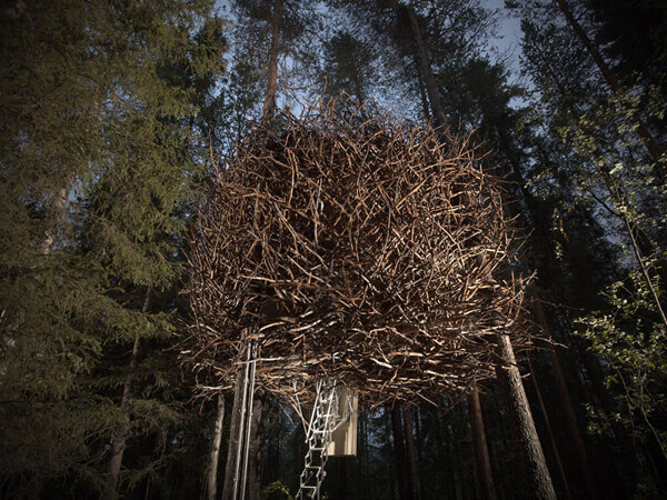 The Bird's Nest - Treehotel