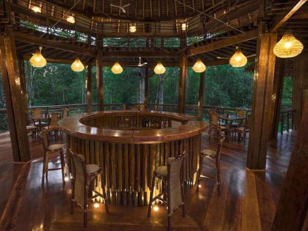 Treehouse Lodge