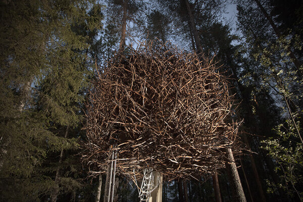 The Bird's Nest - Treehotel